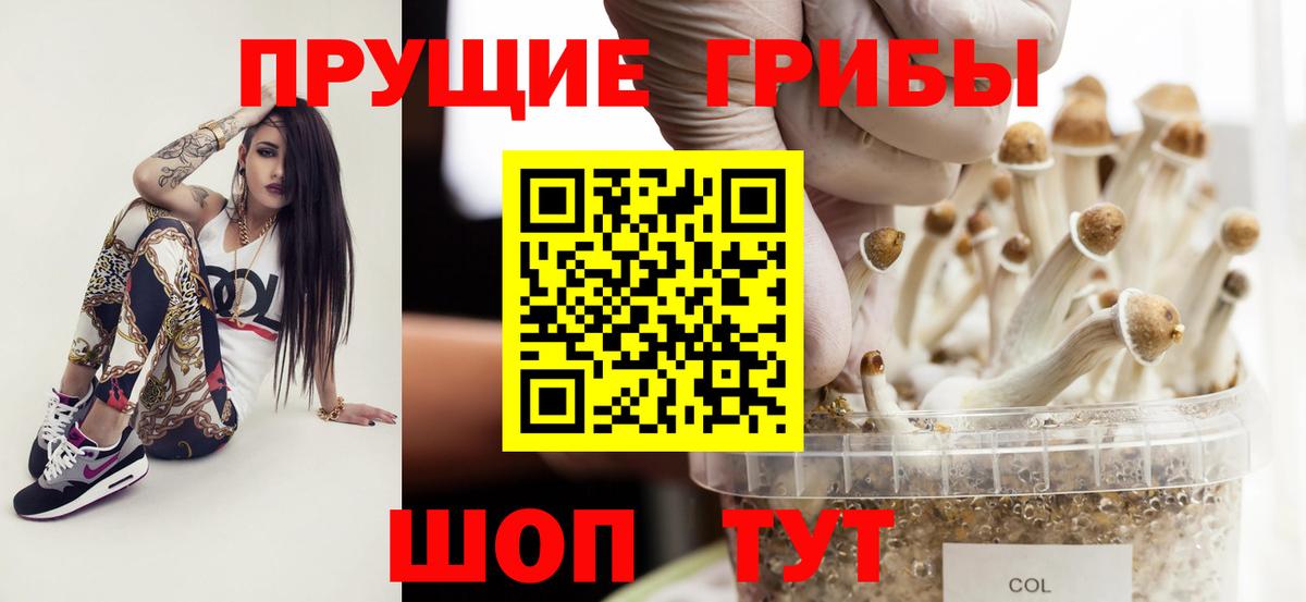 Галлюциногенные грибы MAGIC MUSHROOMS  Вход с VPN  Киселёвск 
